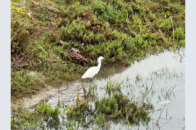 3408 Sparkler, Huntington Beach, CA 92649 - Photo 53