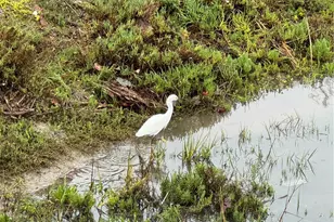 3408 Sparkler, Huntington Beach, CA 92649 - Photo 53