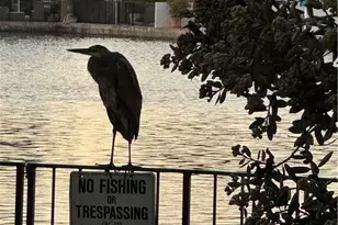 3408 Sparkler, Huntington Beach, CA 92649 - Photo 57