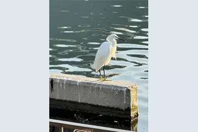 3408 Sparkler, Huntington Beach, CA 92649 - Photo 55