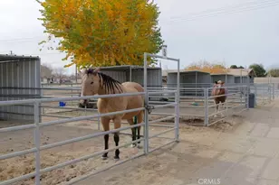27160 Vista, Helendale, CA 92342 - Photo 15