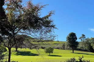 27031 Capote De Paseo, San Juan Capistrano, CA 92675 - Photo 29