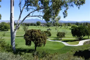 2009 Via Mariposa, Laguna Woods, CA 92637 - Photo 49