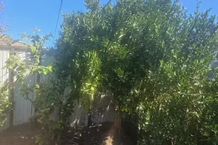 10510 Towne, Los Angeles, CA 90003 - Photo 7