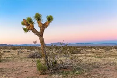 0 Venus Street, Joshua Tree, CA 92252 - Photo 13