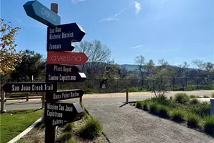 32078 Paseo Vibrantre, San Juan Capistrano, CA 92675 - Photo 41