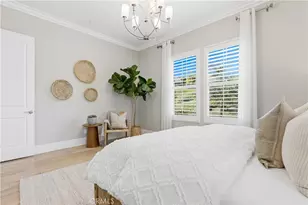 4 Palomino, Rancho Mission Viejo, CA 92694 - Photo 39