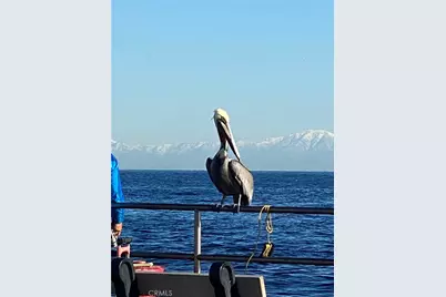 352 354 Eucalyptus, Avalon, CA 90704 - Photo 17