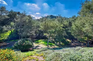 66 Mesquite, Trabuco Canyon, CA 92679 - Photo 17