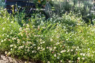 4762 E Mountain View Dr, San Diego, CA 92116 - Photo 35