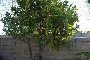 13181 Ferndale Dr, Garden Grove, CA 92844 - Photo 19