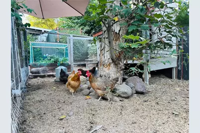 20462 Pine Road, Trabuco Canyon, CA 92679 - Photo 33