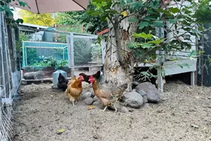 20462 Pine Rd, Trabuco Canyon, CA 92679 - Photo 33