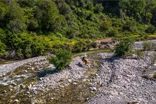 20462 Pine Rd, Trabuco Canyon, CA 92679 - Photo 49