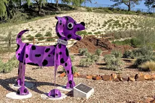 25 Mirino, Mission Viejo, CA 92692 - Photo 67