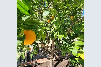 26431 Lombardy Road, Mission Viejo, CA 92692 - Photo 23