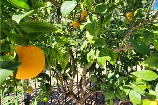 26431 Lombardy Rd, Mission Viejo, CA 92692 - Photo 23