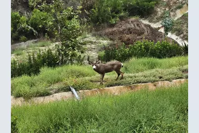 20 Vermilion Cliffs, Aliso Viejo, CA 92656 - Photo 13