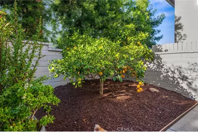 25062 Paseo Cipres, Lake Forest, CA 92630 - Photo 43