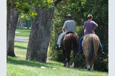 34 Calle Aragon #A, Laguna Woods, CA 92637 - Photo 35