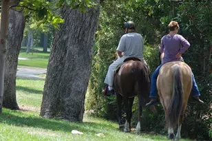 34 Calle Aragon, Laguna Woods, CA 92637 - Photo 35
