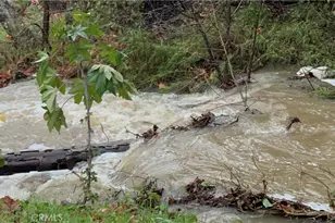 29501 Silverado Canyon Rd, Silverado, CA 92676 - Photo 39