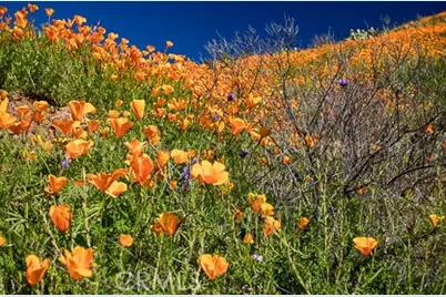 28181 Hidea Way, Silverado, CA 92676 - Photo 67