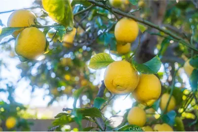 15281 Dogwood, Westminster, CA 92683 - Photo 31