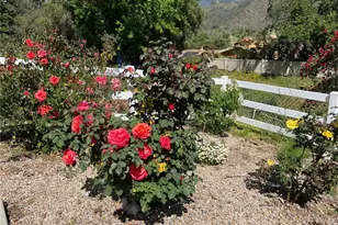 2846 Willow Glen Dr, El Cajon, CA 92019 - Photo 17