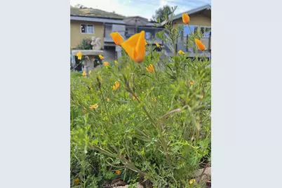 2846 Willow Glen Drive, El Cajon, CA 92019 - Photo 63