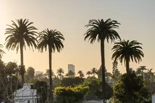 2619 S Rimpau Blvd, Los Angeles, CA 90016 - Photo 39
