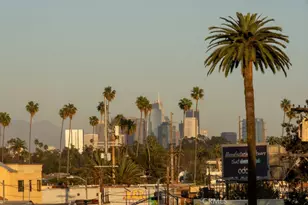 2619 S Rimpau Blvd, Los Angeles, CA 90016 - Photo 49