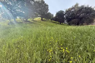 3669 Coldwater Canyon Ave, Studio City, CA 91604 - Photo 1