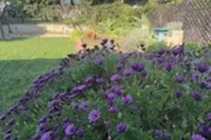 529 Sierra Pl, El Segundo, CA 90245 - Photo 13