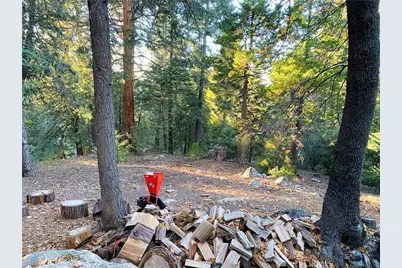 22166 Crestline, Palomar Mountain, CA 92060 - Photo 47