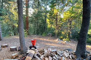 22166 Crestline, Palomar Mountain, CA 92060 - Photo 47