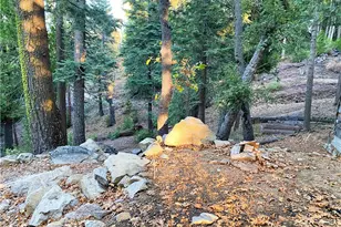 22166 Crestline, Palomar Mountain, CA 92060 - Photo 41