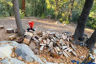 22166 Crestline, Palomar Mountain, CA 92060 - Photo 45