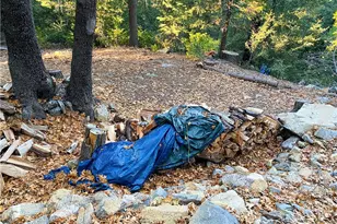 22166 Crestline, Palomar Mountain, CA 92060 - Photo 49