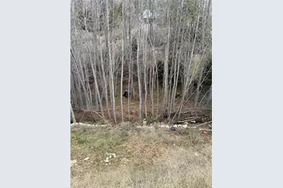 29649 Hook Creek Road, Cedar Glen, CA 92321 - Photo 15