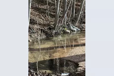 29649 Hook Creek Road, Cedar Glen, CA 92321 - Photo 5