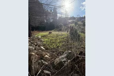 29649 Hook Creek Road, Cedar Glen, CA 92321 - Photo 5