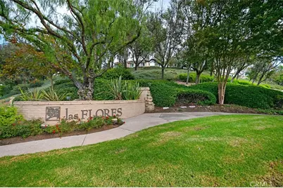 19 Crestview, Rancho Santa Margarita, CA 92688 - Photo 43