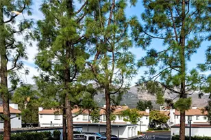 6 Dianthus, Rancho Santa Margarita, CA 92688 - Photo 29