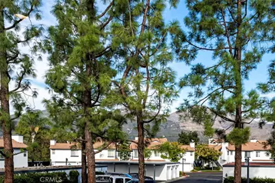 6 Dianthus, Rancho Santa Margarita, CA 92688 - Photo 29