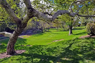 179 Avenida Majorca, Laguna Woods, CA 92637 - Photo 3