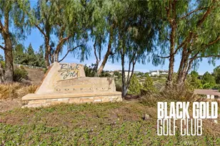 1954 Avenida Del Sol, Placentia, CA 92870 - Photo 49