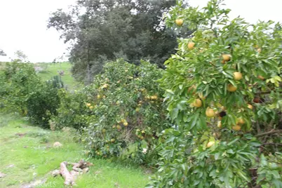 0 Buena Vista, Temecula, CA 92590 - Photo 7