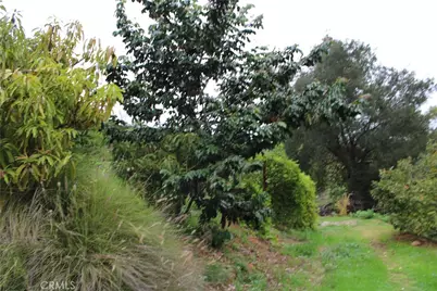 0 Buena Vista, Temecula, CA 92590 - Photo 9