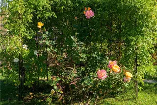 1202 Villanova Pl, Riverside, CA 92506 - Photo 53